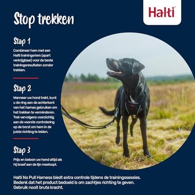 Hondentuigje Company of Animals FOREST Groen L