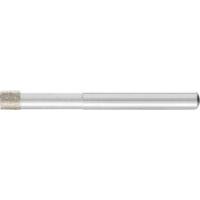 PFERD TOOLS 36106010 Schuurpen Diameter 6 mm 1 stuk(s) - thumbnail