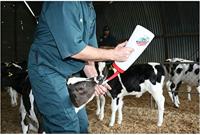 Kalver Speedy Drencher Rood 2,5 l - thumbnail