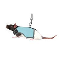 TRIXIE SOFTTUIG MET RIEM VOOR RATTEN ASSORTI 12-18X120 CM - thumbnail