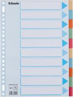 Esselte tabbladen 10 tabs, karton van 275 g/m² - thumbnail