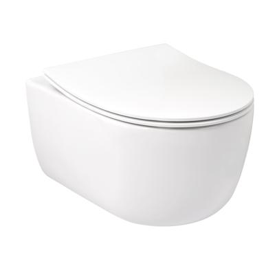 Plieger Kansas wandclosetpack met compact wandcloset diepspoel spoelrandloos 36x49cm inclusief softclose slim closetzitting en lift-off glans wit KANSASPACK WHITE COMPACT