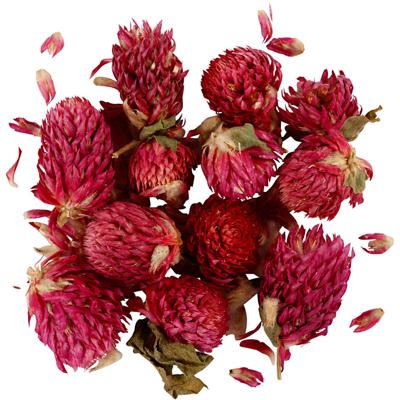 Creativ Company Gedroogde bloemen rode klaver paars, 15gr