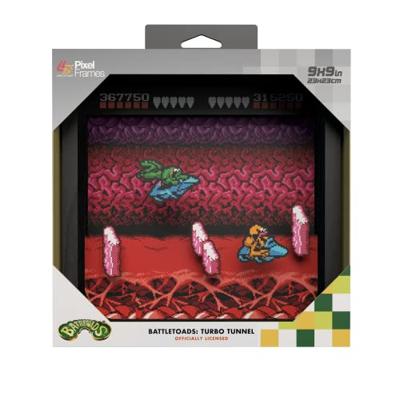 Pixel Frame - Battletoads - NES Turbo Tunnel (23cm x 23cm)