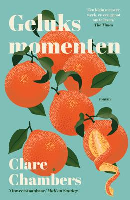 Geluksmomenten - Clare Chambers - ebook