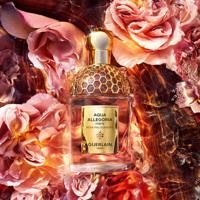 Guerlain Aqua Allegoria Woodies Rosa Palissandro Eau de Parfum 75ml - thumbnail