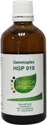 Balancepharma HGP019 Gemmoplex cholesterol 100 Milliliter Balancepharma HGP019 Gemmoplex cholesterol 100 Milliliter