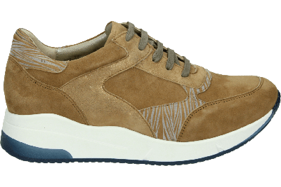 Verhulst 1334 K - alle