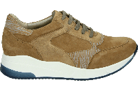 Verhulst 1334 K - alle - thumbnail