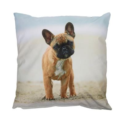 Esschert Design Buitenkussen hond
