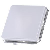 ELSO blinde afdekking 203014 vastklikbaar zuiver wit Meerdere kleuren 1 stuk(s) - thumbnail