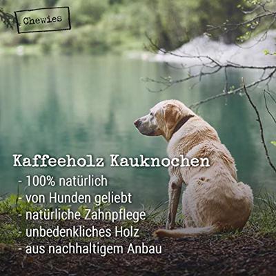 Koffiehout-kauwstok s 1st
