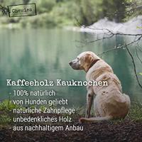 Koffiehout-kauwstok m 1st - thumbnail