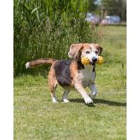 TRIXIE HALTER MET BEL NATUURRUBBER 17 CM 3 ST - thumbnail