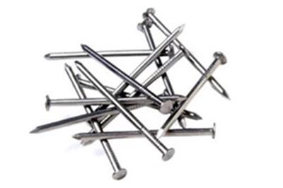 DQ stalen nagel 2.0x40mm ck (100st)