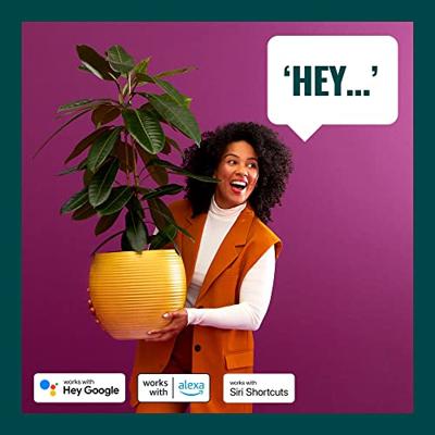 WiZ 4-lichts opbouwspotImageo smart - zwart - 929003211401