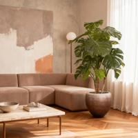 Monstera deluxe kunstboom 140cm - thumbnail