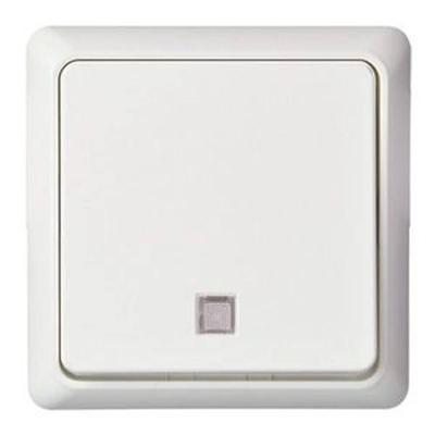 ELSO UP-toets 242134 verlicht 10A RENOVATIE rw 1 stuk(s)