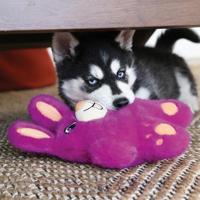 KONG SNUZZLES BUNNY 24X18X9 CM - thumbnail