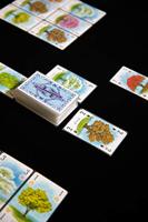 Arboretum - thumbnail
