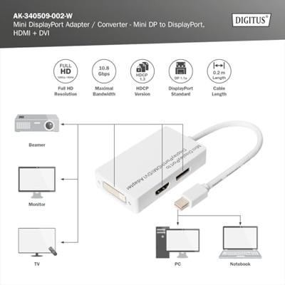 ASSMANN DisplayPort distributiekabel miniDP - DP+HDMI+DVI St/Bu 0,2m DP 1.1a compatibel CE we