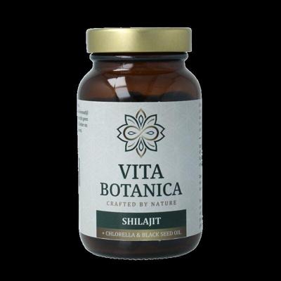 Shilajit 90 Capsules