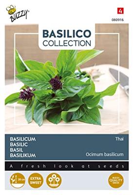 Zaden Basilicum Siam of Thai Buzzy - Buzzy