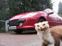 Kemo M100N Marterverschrikker 1 stuk(s) - thumbnail