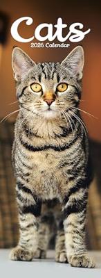 Katten Kalender 2026 Slimline