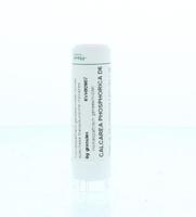 Homeoden Heel Calcarea phosphorica D6 6 Gram - thumbnail