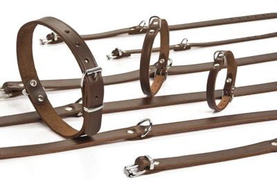 Lederen honden halsband bruin - 32 cm x 10 mm Lederen honden halsband bruin - 32 cm x 10 mm