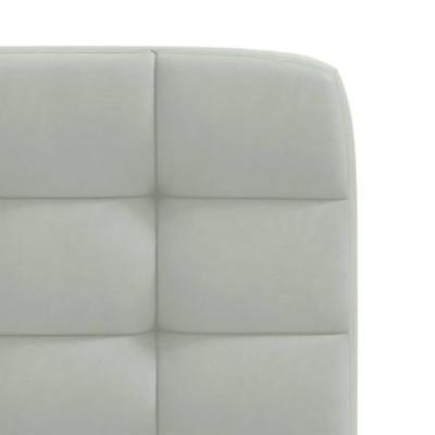 Eetkamerstoelen 2 st fluweel lichtgrijs