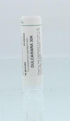Homeoden Heel Dulcamara 30K 6 Gram Homeoden Heel Dulcamara 30K 6 Gram
