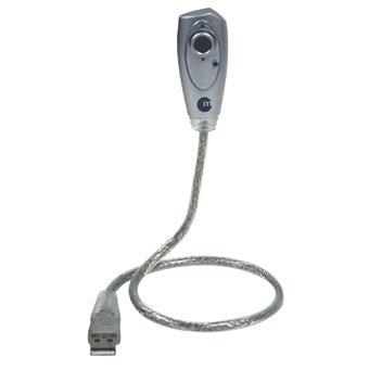 Apple iPhone 12 Pro Max Hoesje Leaves