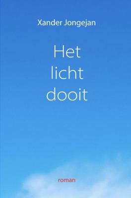 Het licht dooit - Xander Jongejan - ebook