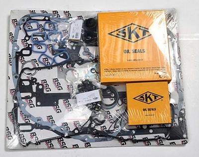 Complete pakkingset, motor BSG30115001