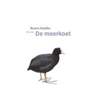 De meerkoet - Remco Daalder - Paperback (9789045030258) - thumbnail
