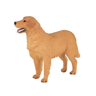 Mojo farmland golden retriever 387198