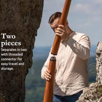 Meinl DDPROFNTD Sliced Pro didgeridoo toon D incl. draagtas - thumbnail