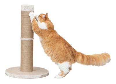Trixie krabpaal gabriella xxl beige