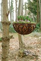 Haak klassiek groot / Esschert Design - thumbnail