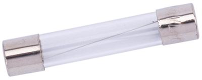 SPAHN glazen zekering glass fuses 15a 6x32 mm (10pcs)