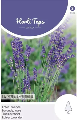 Zaden Lavendel - Lavandula Officinalis Hortitops - Hortitops