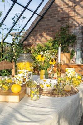 Ambiente ovenwant fresh lemons wit