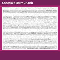 Chocolate Berry Crunch Protein Bar | Optimum Nutrition | 660 X G - thumbnail
