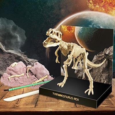 4M graaf je eigen dinosaurus op de T rex kidzlabs - thumbnail
