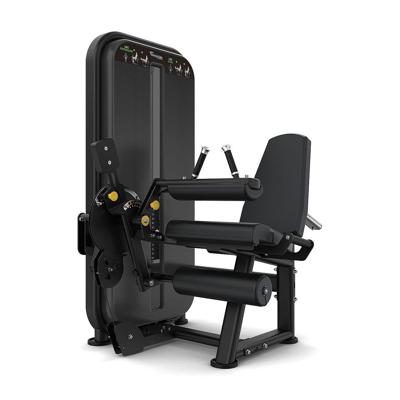 Vision Fitness leg extension/leg curl