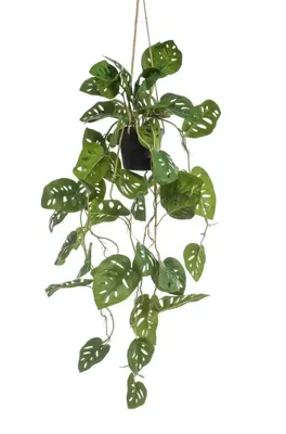 Kunstplant Monstera Monkey hangend in pot - 80cm