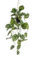 Kunstplant Monstera Monkey hangend in pot - 80cm - thumbnail