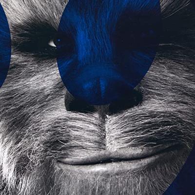 Kunstdruk Star Wars - Episode IX Chewbacca 30x40cm